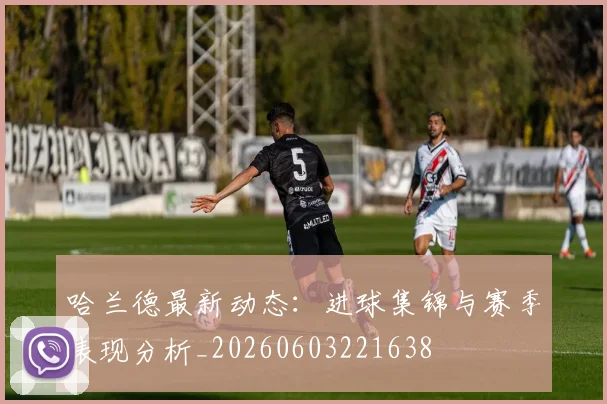 哈兰德最新动态:进球集锦与赛季表现分析_20260603221638