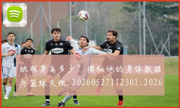 姚明身高多少？揭秘他的身体数据与篮球天赋_20260527112301_20260703233051_20260720192432