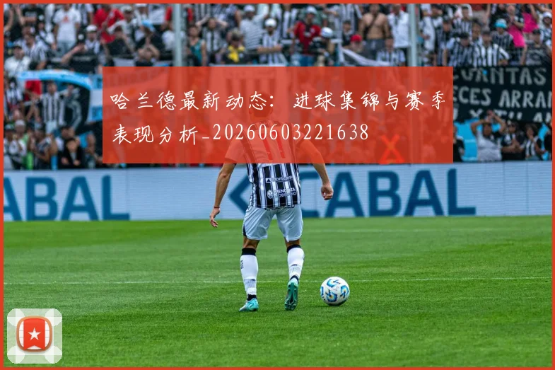 哈兰德最新动态：进球集锦与赛季表现分析_20260603221638