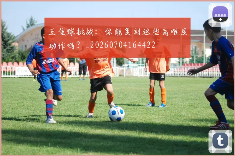 五佳球挑战：你能复刻这些高难度动作吗？_20260704164422